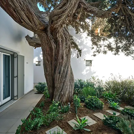 Private Luxury Scarlet Beachfront Villa, Molos, Paros Villa Molos (Paros)