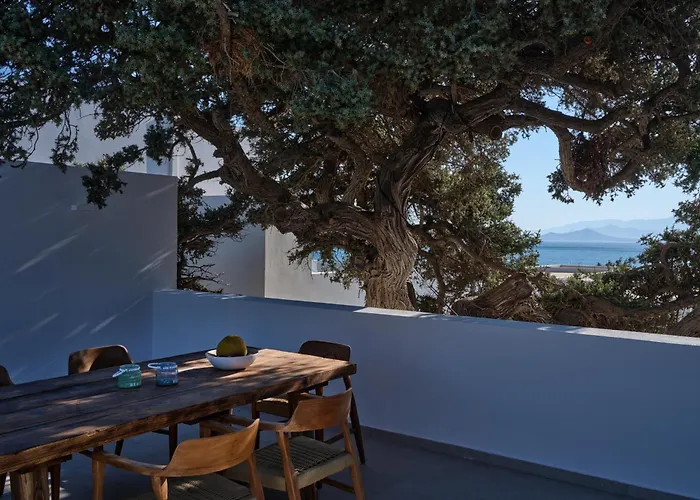Private Luxury Scarlet Beachfront Villa, Molos, Paros 别墅 *